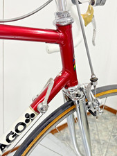 SQUADRA SCIC BOTTECCHIA 1979