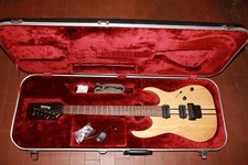 Chitarra Ibanez Prestige RGT 220 A