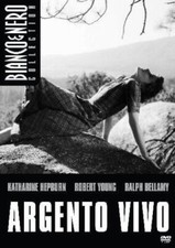 Argento vivo (DVD) - Usato