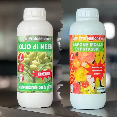 Olio neem insetticida - olio,