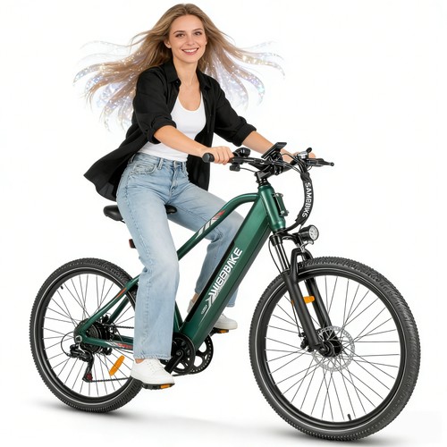 Bicicletta elettrica - bicicletta,