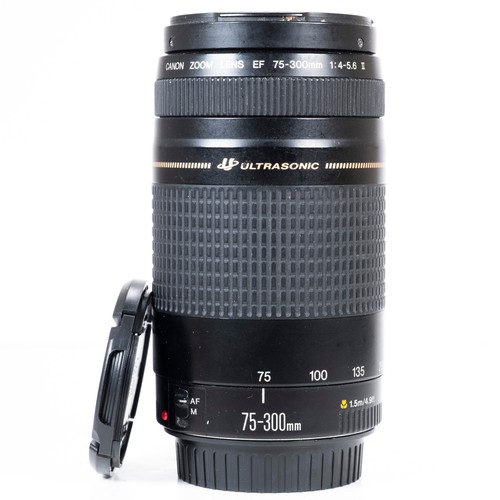 Canon 300 0 5 - canon, mm