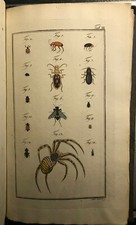 Fauna Etrusca sistens insecta