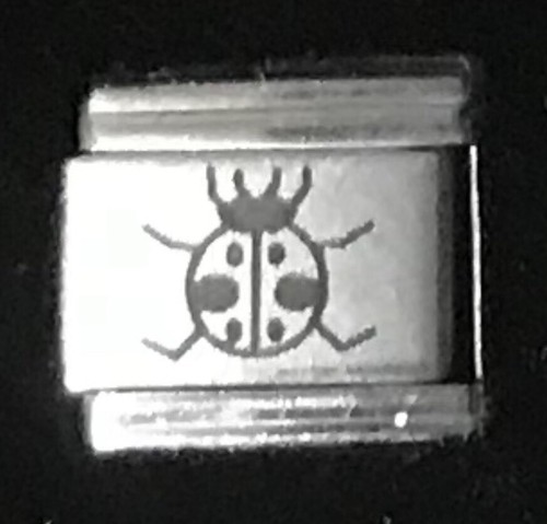 Charm coccinella mendicante