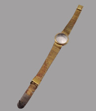 Lady Omega De Ville case and