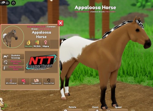 Wild horse islands - wild,