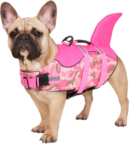 Salvagente per cane - salvagente,