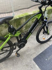 bici elettrica 250w