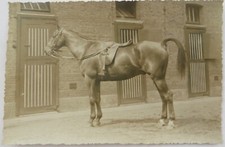 1920 LA HULPE BELGIO