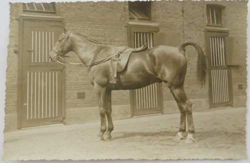 1920 hulpe belgio - 1920,