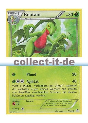 Pokemon 160 reptain - pokemon,
