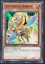 COCCINELLA DORATA in Italiano