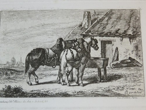 Auguste sébastien benard - sébastien,