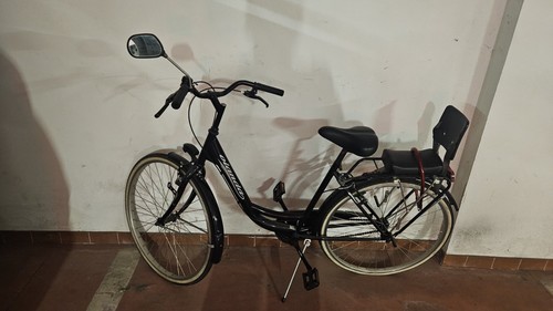 Bici donna usata