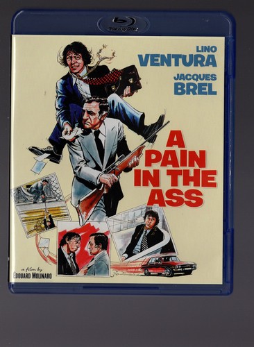 Pain the ass - the,