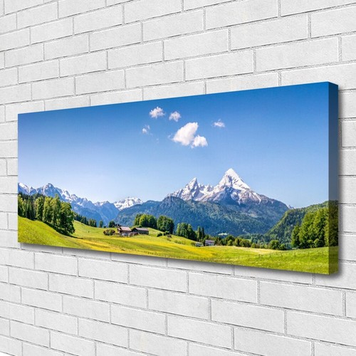Stampa tela 125x50 - stampa, su