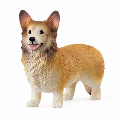 Pack welsh corgie - -,