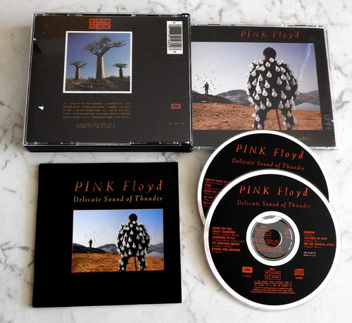Pink floyd delicate sound - floyd,