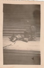 B4 - Foto Photo Fotografia