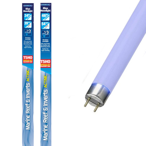 Interpet blu chiaro - ho, di