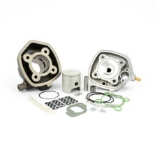 10041404 GRUPPO TERMICO PINASCO T-FORCE MONOFASCIA Ø47 MINARELLI ORIZZONTALE H2O