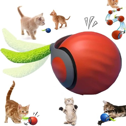 Gioco interattivo automatico - gioco,