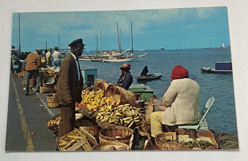 Cartolina epoca isola - cartolina,