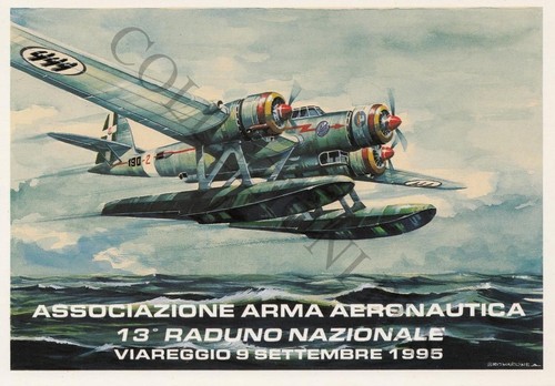Cartolina aviazione publicard - cartolina,