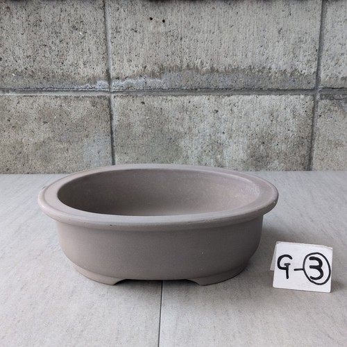 Vaso bonsai ginepro con - bonsai,
