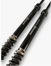 Ohlins revisione forcella - ohlins,