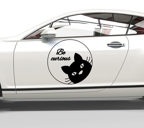 Adesivo auto curius gatto - auto, be