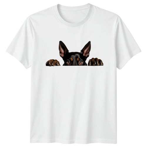 Peeking doberman pinscher - peeking,
