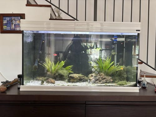 Aquatlantis acquario 200l con - aquatlantis,
