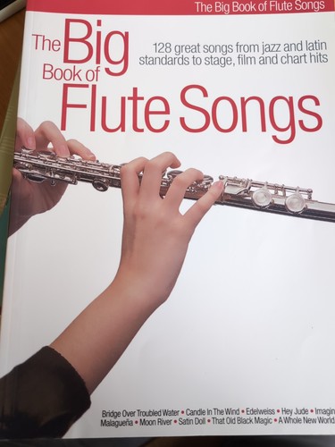 Grande libro delle canzoni - il,