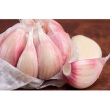 Aglio rosso Gardos bulbi da