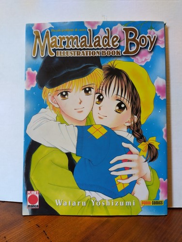 Marmalade boy illustration - boy,