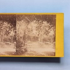 Genoa Stereoview 3D C1870 Real