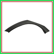 Parafanghino Posteriore