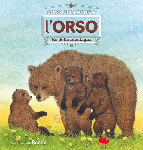 Libri renne orso - libri,