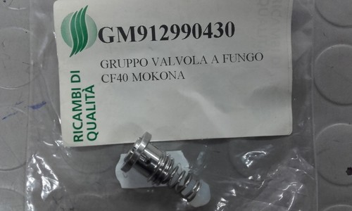 Gruppo valvola fungo - valvola, cf40