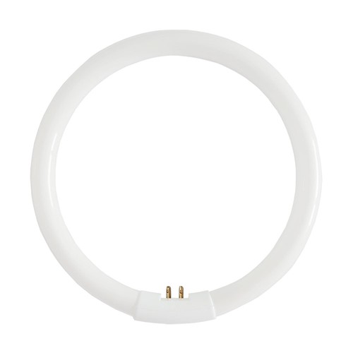 Lampada fluorescente anello - fluorescente,