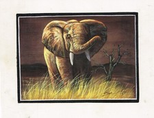 Elefante Art Pittura Fatto a