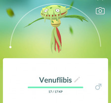Pokemon venuflibis - 👻pokemon,