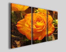 Quadri moderni Orange rose II stampe fiori