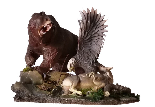 Orso aquila modello 3d - "orso, vs