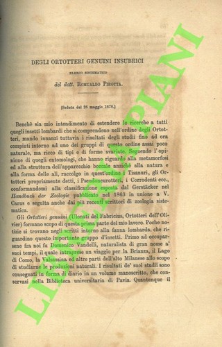 Pirotta romualdo degli - pirotta,