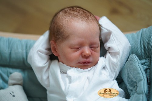 Aspen sleeping authentic - aspen,