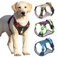 Imbracatura Riflettente