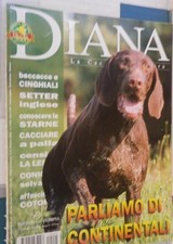 DIANA 5 2001 lepre Setter inglese Coturnici Beccacce Kurzhaar Breton Capriolo di
