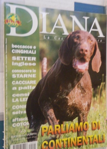 Diana 2001 lepre setter - diana,